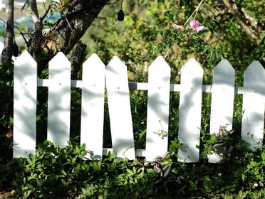 A white picket fence surrounded by lush greenery in a sunny outdoor setting.