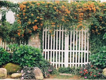 A picturesque white gate surrounded by vibrant orange flowers and lush greenery creates a welcoming garden scene.