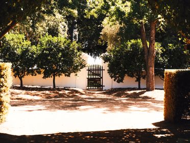 A sunlit garden pathway leading to a rustic wooden gate, framed by lush greenery and trees.