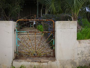 A rustic iron gate surrounded by vibrant green plants and a cobblestone path.