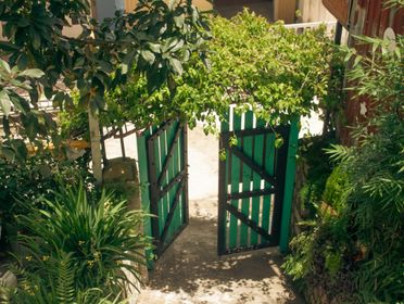 Aerial view of a green wooden gate amidst a garden full of lush plants and greenery.