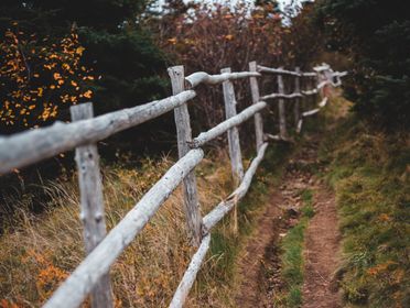Narrow rural path going in autumn forest near old shabby wooden fence in countryside