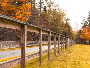 Serene view of a wooden fence in a colorful autumn forest setting, evoking tranquility.