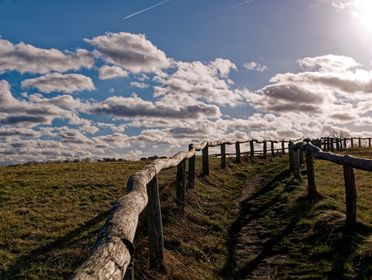 Picturesque rural path lined with rustic wooden fences under a vibrant sky.