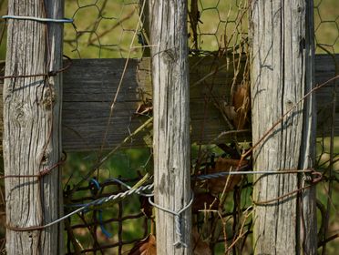 A close-up of a rustic wooden fence bound with wire, showcasing natural textures.