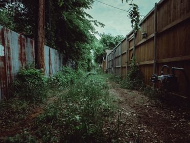 Explore a rustic and overgrown alleyway lined by fences and tall grass, capturing a serene outdoor setting.
