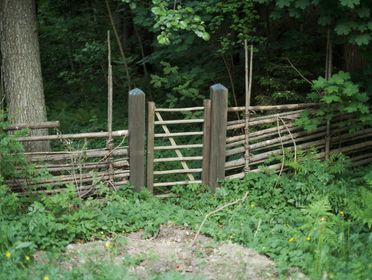 A wooden fence and gate through lush green foliage in a serene forest setting.