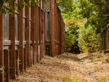 A rustic wooden fence aligning a narrow dirt pathway surrounded by greenery.