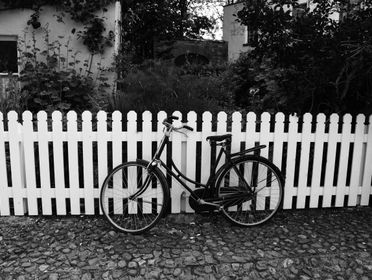 Black and white image of a vintage bicycle leaning against a classic white picket fence outdoors.