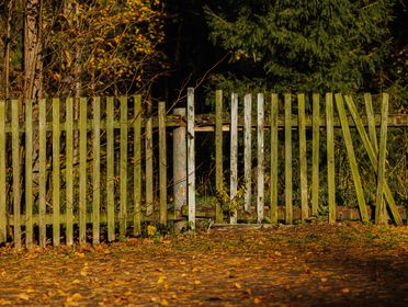 A rustic wooden fence surrounded by colorful autumn foliage in a serene forest setting.