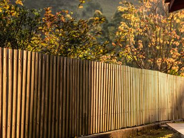A beautifully lit garden fence with autumn foliage in São Paulo, Brazil.