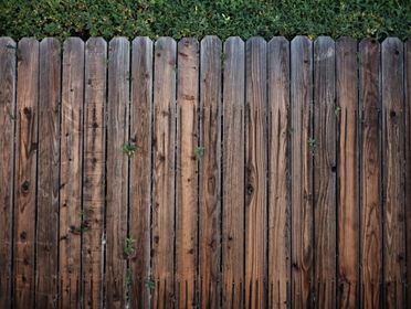 A rustic wooden fence overgrown with green foliage on a sunny day.