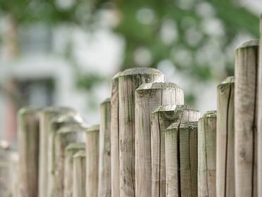 Close-up view of a textured wooden fence against a blurred natural background.