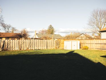 Residential backyard with wooden fence, shed, lawns, and tree shadows on a sunny day.