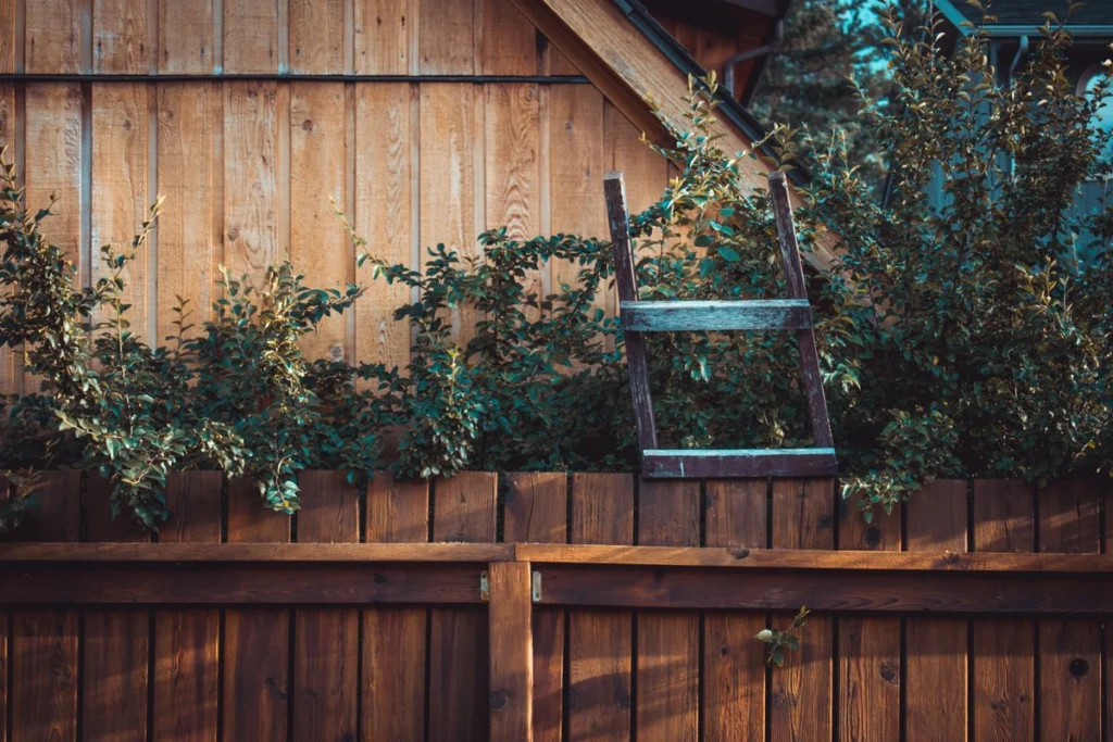 Stained wood fence with greenery